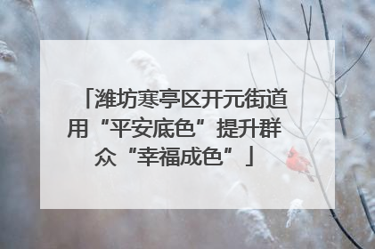 潍坊寒亭区开元街道用“平安底色”提升群众“幸福成色”