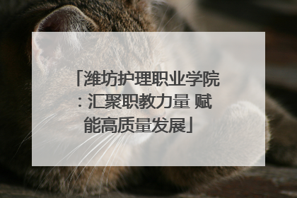 潍坊护理职业学院：汇聚职教力量 赋能高质量发展