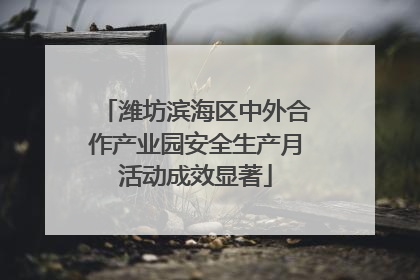 潍坊滨海区中外合作产业园安全生产月活动成效显著