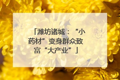 潍坊诸城：“小药材”变身群众致富“大产业”