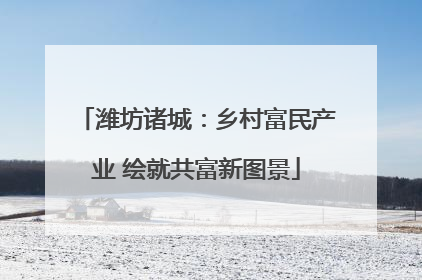 潍坊诸城：乡村富民产业 绘就共富新图景