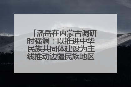 潘岳在内蒙古调研时强调：以推进中华民族共同体建设为主线推动边疆民族地区高质量发展