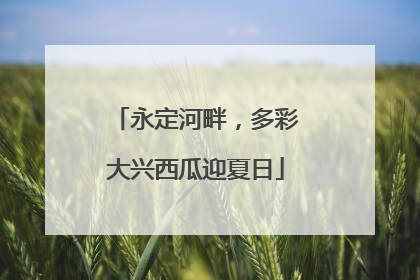 永定河畔，多彩大兴西瓜迎夏日