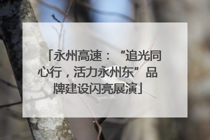 永州高速：“追光同心行，活力永州东”品牌建设闪亮展演