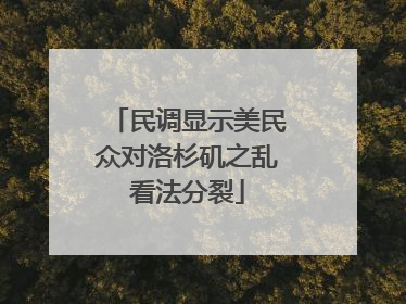 民调显示美民众对洛杉矶之乱看法分裂
