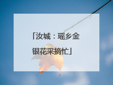 汝城：瑶乡金银花采摘忙