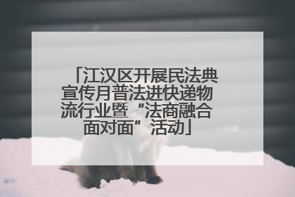江汉区开展民法典宣传月普法进快递物流行业暨“法商融合面对面”活动