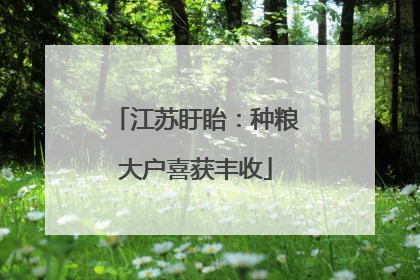 江苏盱眙：种粮大户喜获丰收