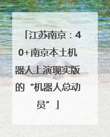 江苏南京：40+南京本土机器人上演现实版的“机器人总动员”