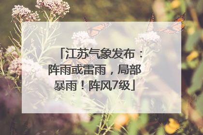 江苏气象发布：阵雨或雷雨，局部暴雨！阵风7级