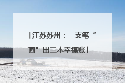江苏苏州：一支笔“画”出三本幸福账