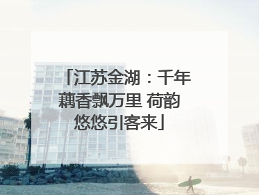 江苏金湖：千年藕香飘万里 荷韵悠悠引客来