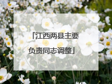江西两县主要负责同志调整
