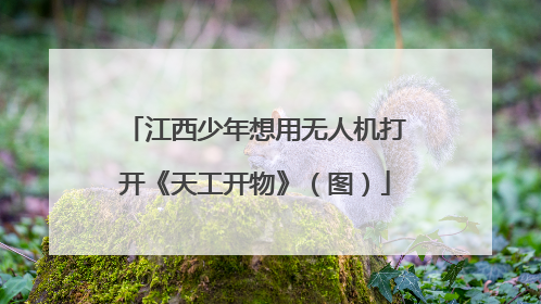 江西少年想用无人机打开《天工开物》（图）
