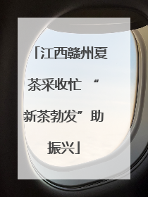 江西赣州夏茶采收忙 “新茶勃发”助振兴