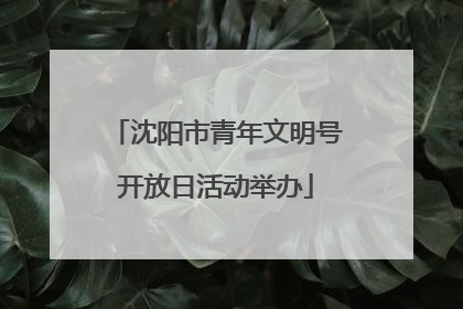 沈阳市青年文明号开放日活动举办