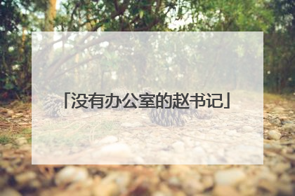 没有办公室的赵书记