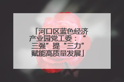 河口区蓝色经济产业园党工委：“三强”提“三力”赋能高质量发展