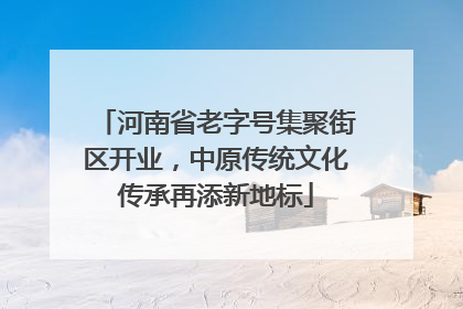 河南省老字号集聚街区开业，中原传统文化传承再添新地标