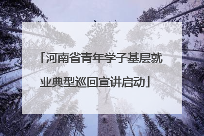 河南省青年学子基层就业典型巡回宣讲启动