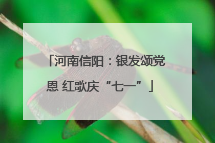 河南信阳：银发颂党恩 红歌庆“七一”
