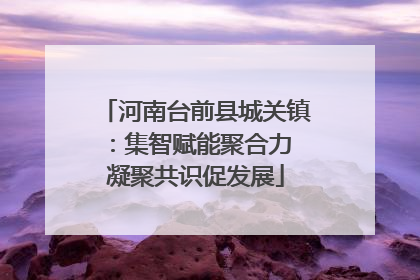 河南台前县城关镇：集智赋能聚合力 凝聚共识促发展