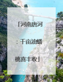 河南唐河：千亩油蟠桃喜丰收