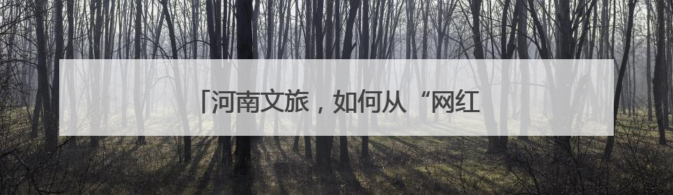 河南文旅，如何从“网红”变“长红”｜豫观察
