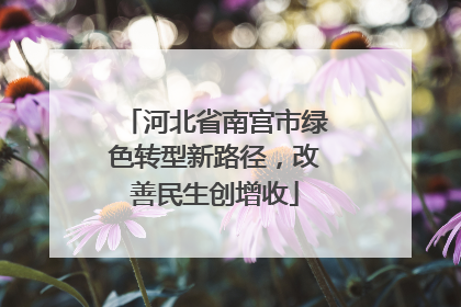 河北省南宫市绿色转型新路径，改善民生创增收