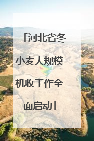 河北省冬小麦大规模机收工作全面启动