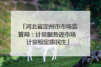 河北省定州市市场监管局：计量服务进市场 计量检定惠民生