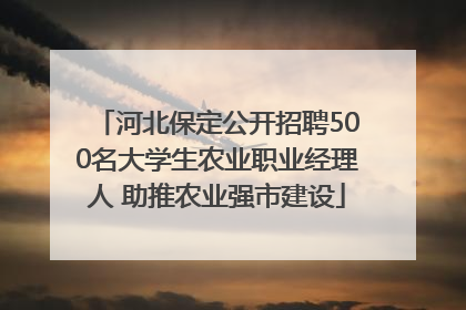河北保定公开招聘500名大学生农业职业经理人 助推农业强市建设