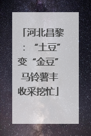 河北昌黎：“土豆”变“金豆” 马铃薯丰收采挖忙