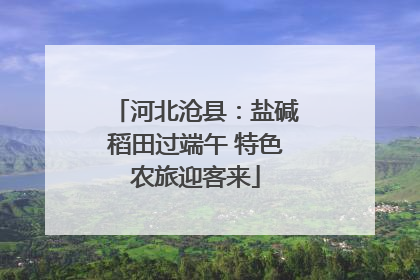 河北沧县：盐碱稻田过端午 特色农旅迎客来