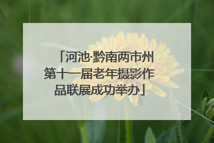 河池·黔南两市州第十一届老年摄影作品联展成功举办