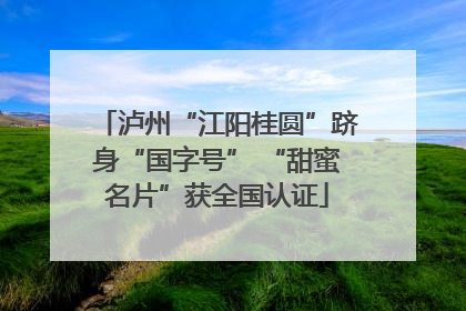 泸州“江阳桂圆”跻身“国字号” “甜蜜名片”获全国认证