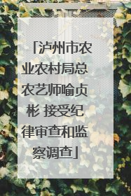 泸州市农业农村局总农艺师喻贞彬 接受纪律审查和监察调查