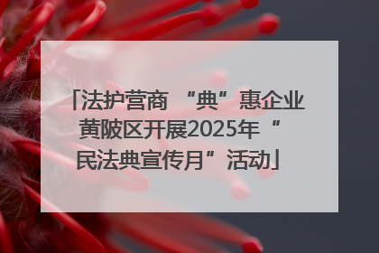 法护营商 “典”惠企业 黄陂区开展2025年“民法典宣传月”活动