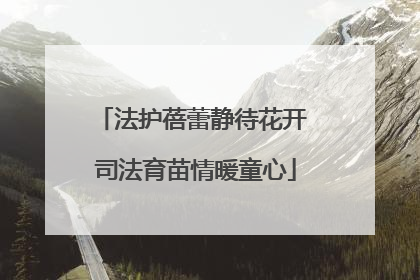 法护蓓蕾静待花开 司法育苗情暖童心