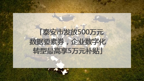 泰安市发放500万元数据要素券，企业数字化转型最高享5万元补贴