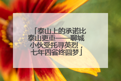 泰山上的承诺比泰山更重——聊城小伙受托寻英烈，七年四省终圆梦