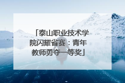 泰山职业技术学院闪耀省赛：青年教师勇夺一等奖