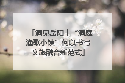 洞见岳阳丨“洞庭渔歌小镇”何以书写文旅融合新范式