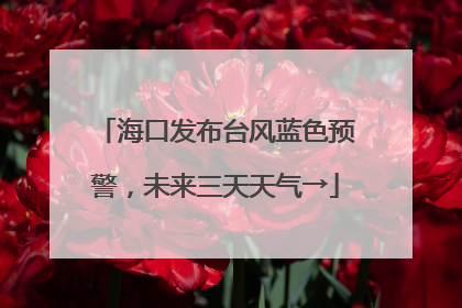 海口发布台风蓝色预警，未来三天天气→