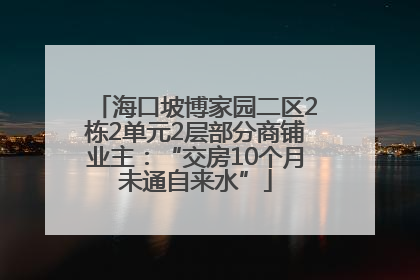 海口坡博家园二区2栋2单元2层部分商铺业主：“交房10个月未通自来水”