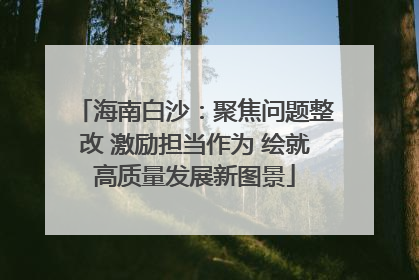 海南白沙：聚焦问题整改 激励担当作为 绘就高质量发展新图景