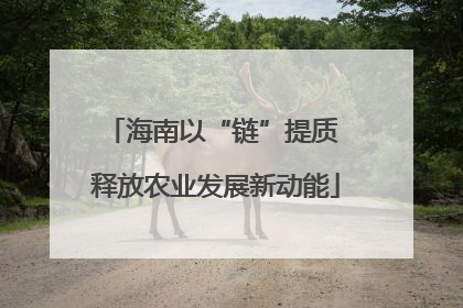 海南以“链”提质 释放农业发展新动能