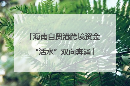 海南自贸港跨境资金“活水”双向奔涌