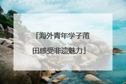 海外青年学子莆田感受非遗魅力