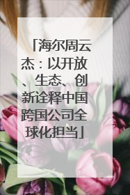海尔周云杰：以开放、生态、创新诠释中国跨国公司全球化担当